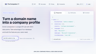 Screenshot of The Companies API
